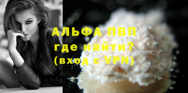 дурь Инта