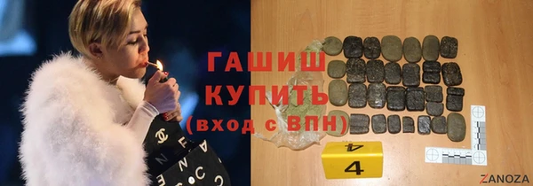 дурь Инта