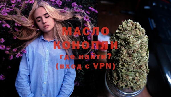 дурь Инта