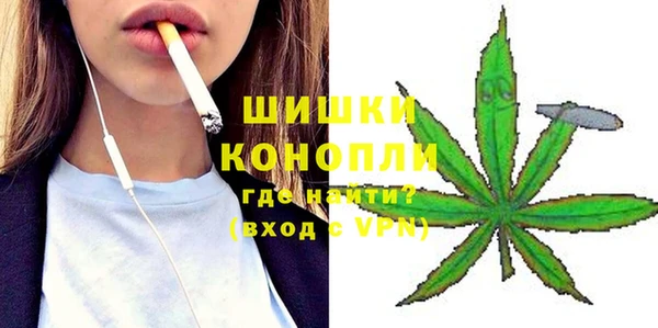 дурь Инта