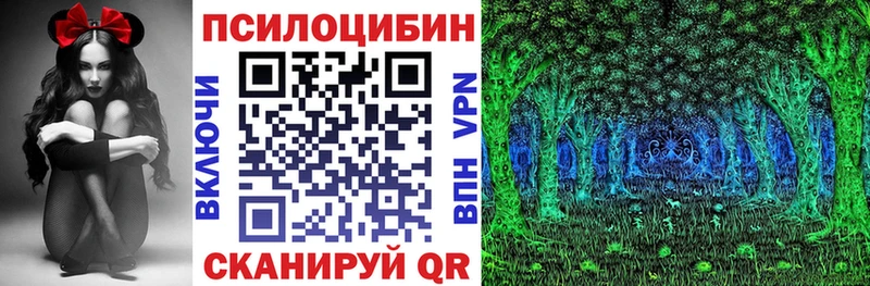 Купить где  Горнозаводск  Галлюциногенные грибы Magic Shrooms 