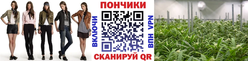 Канабис индика  Купить где  Горнозаводск 